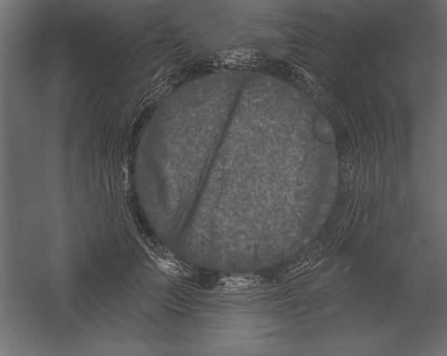 X0000060220703200511241240