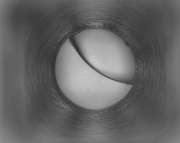 X0000060220704200511241240