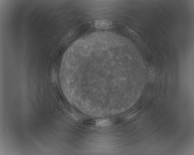 X0000060220705200511241240