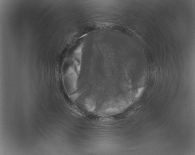 X0000060220716200511241239