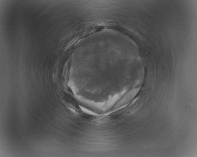 X0000060220720200511241239