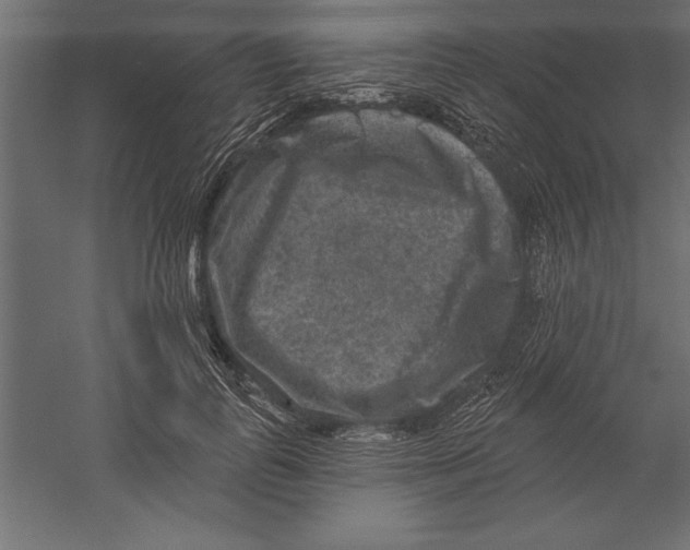 X0000060220747200511241239