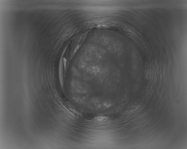 X0000060220748200511241239