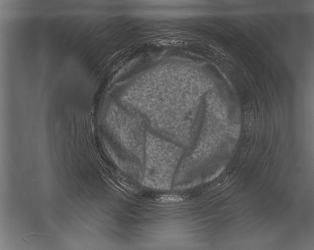 X0000060220749200511241239