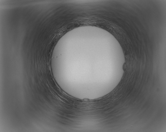 X0000060220752200511241239
