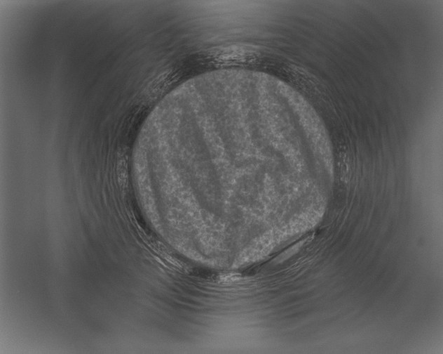 X0000060220753200511241239
