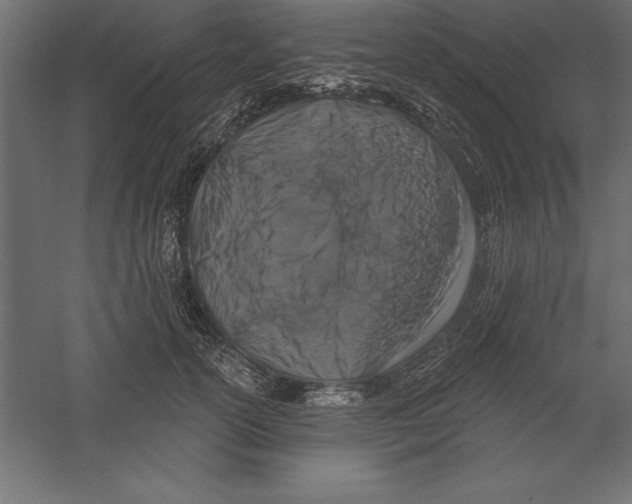 X0000060220754200511241239