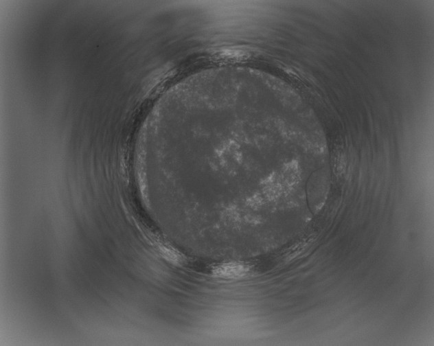 X0000060220759200511241239