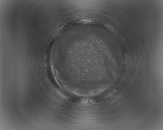X0000060220760200511241239