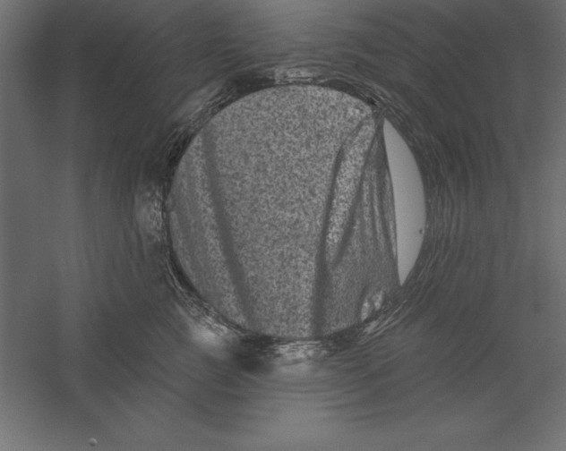 X0000060220761200511241239