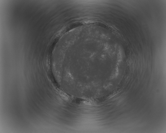 X0000060220763200511241239