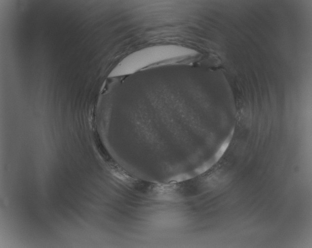 X0000060220767200511241239