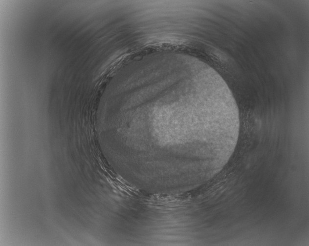 X0000060220774200511241238
