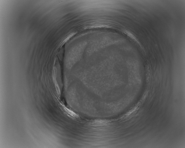 X0000060220777200511241238