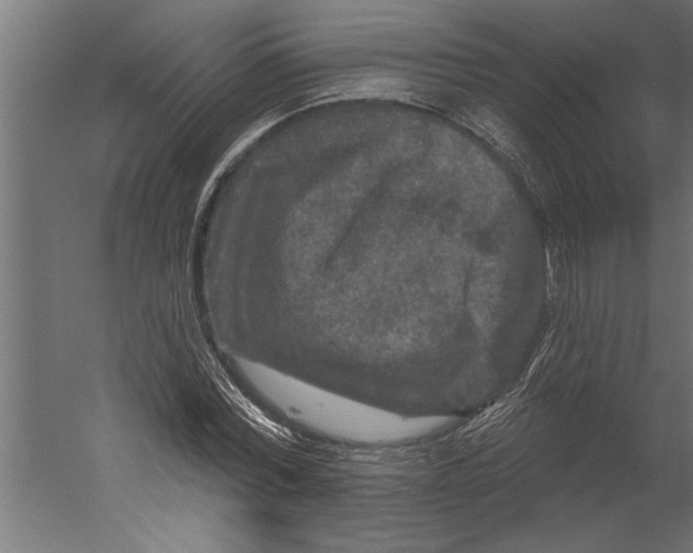 X0000060220780200511241238