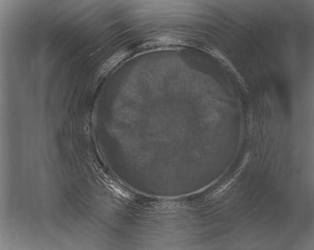 X0000060220785200511241238