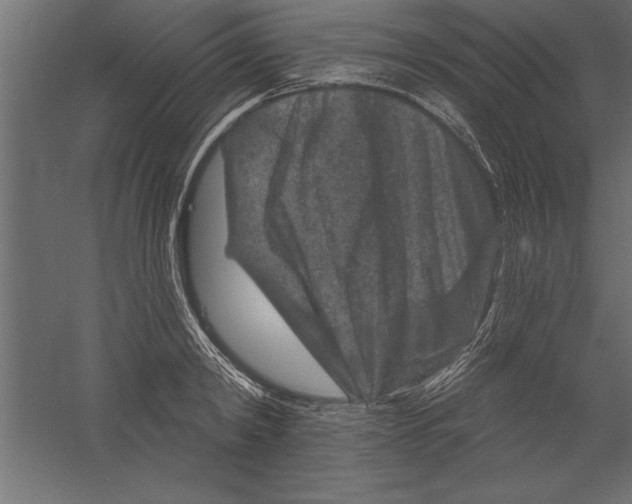 X0000060220798200511241238