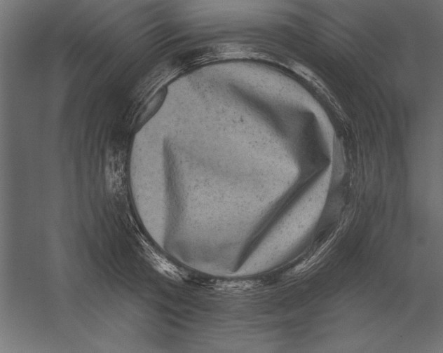 X0000060220801200511241238