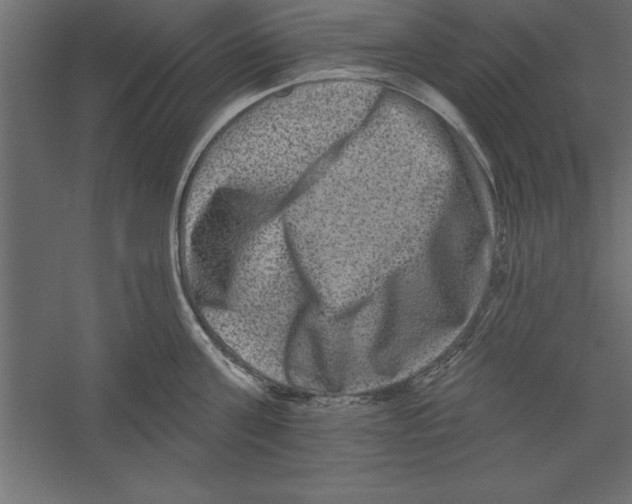 X0000060220811200511241238