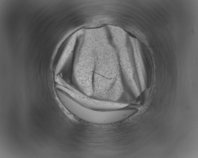 X0000060220816200511241238