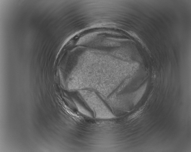 X0000060220830200511241237