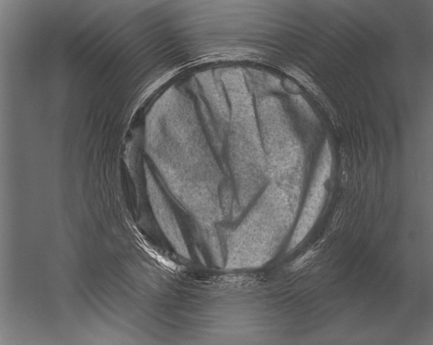 X0000060220834200511241237