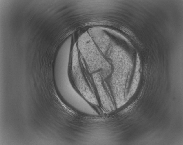 X0000060220841200511241237