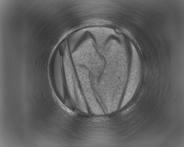 X0000060220843200511241237