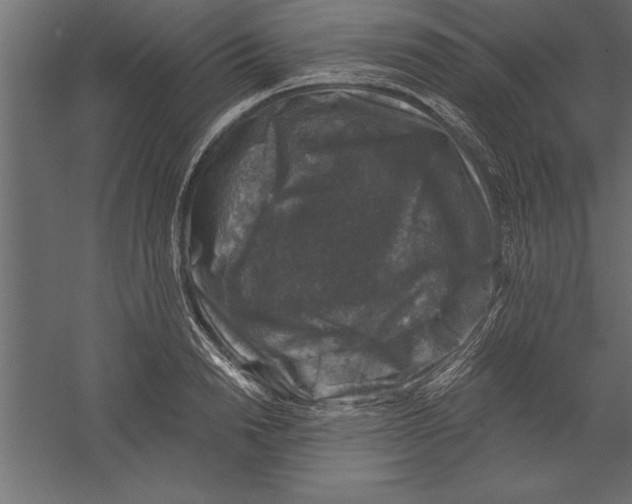 X0000060220846200511241237