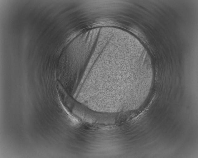 X0000060220849200511241237