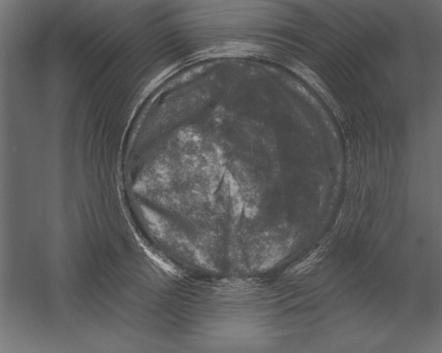 X0000060220850200511241237