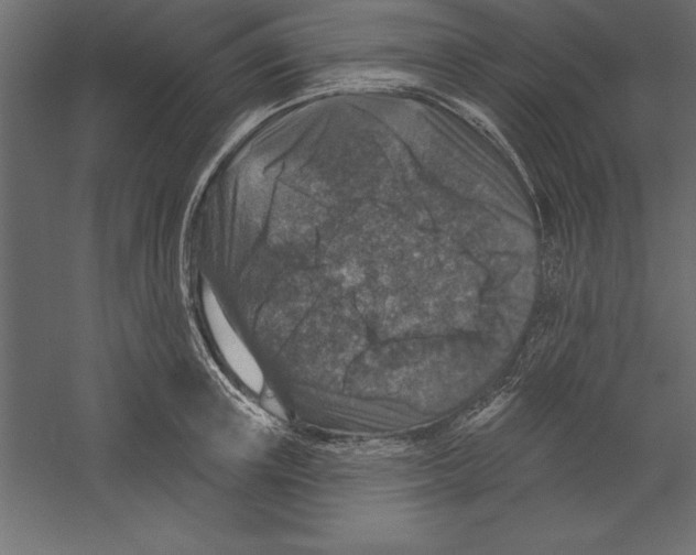 X0000060220851200511241237