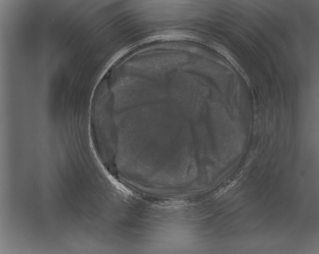 X0000060220853200511241237