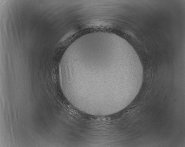 X0000060220869200511241237
