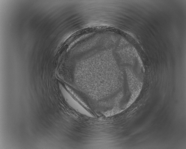 X0000060220871200511241237