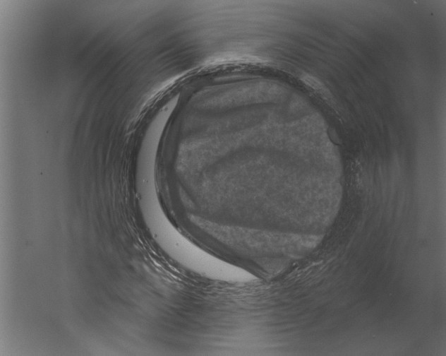 X0000060220872200511241237