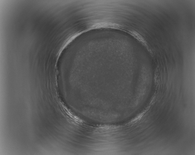 X0000060220877200511241237
