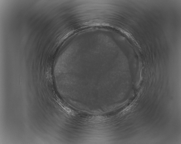 X0000060220881200511241236