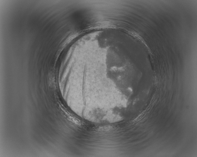 X0000060220882200511241236