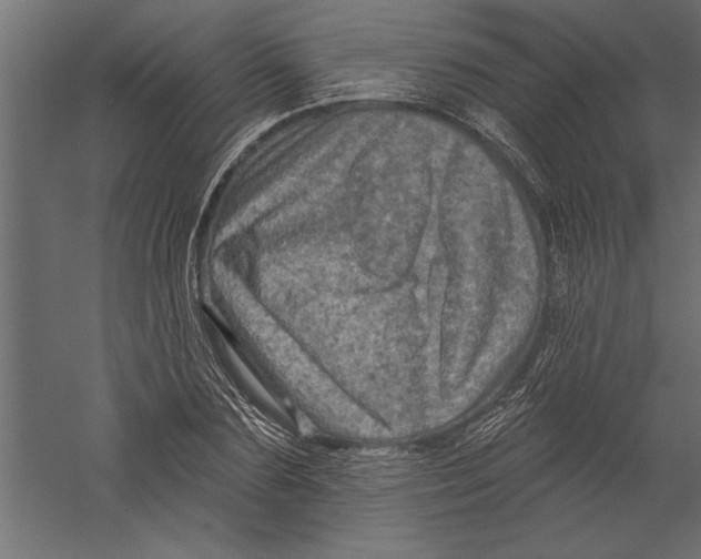 X0000060220883200511241236