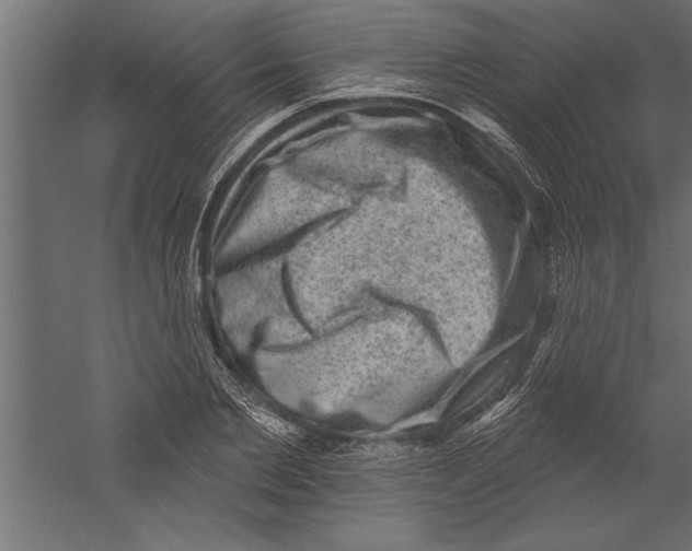 X0000060220885200511241236