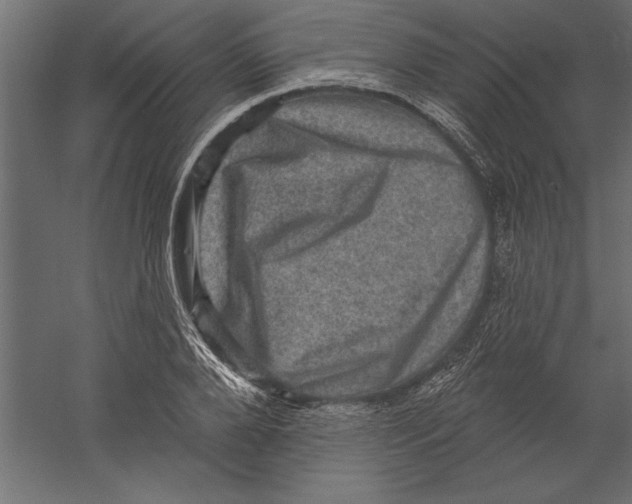 X0000060220888200511241236