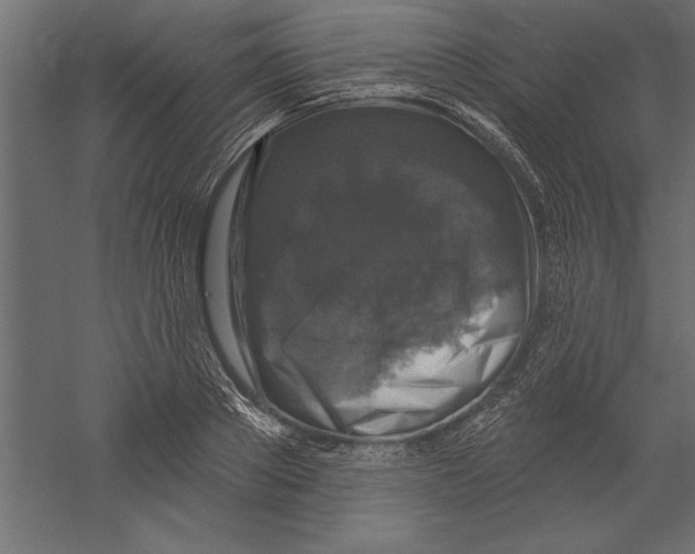 X0000060220889200511241236