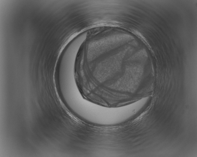 X0000060220893200511241236