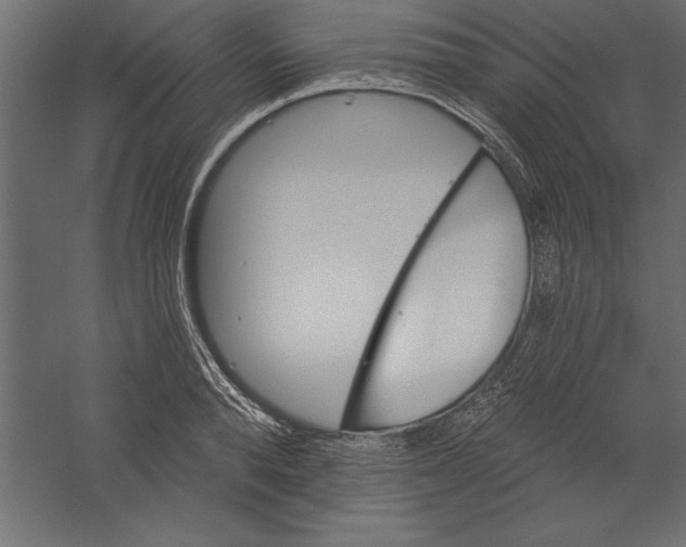 X0000060220896200511241236