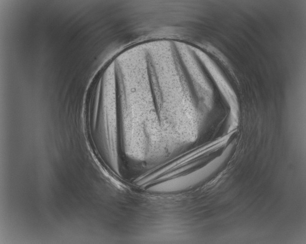 X0000060220902200511241236