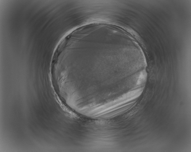 X0000060220904200511241236
