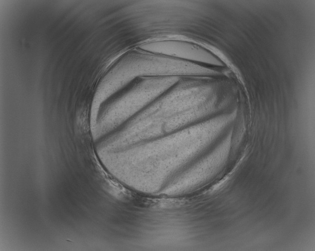 X0000060220905200511241236