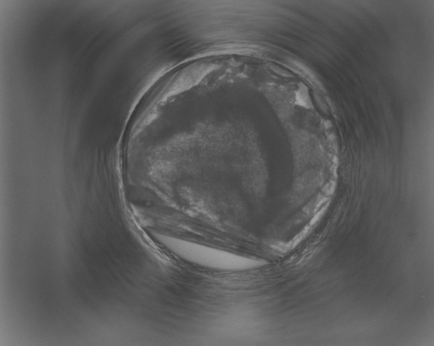 X0000060220907200511241236