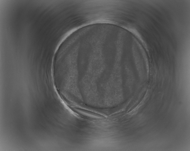 X0000060220910200511241236